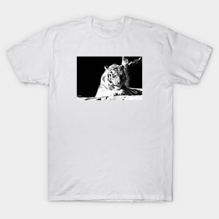 Year of the tiger 2022 / 1 /  Swiss Artwork Photography T-Shirt